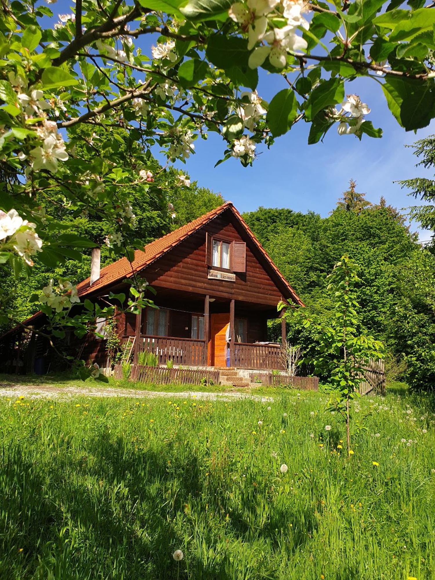 Casa Lacramioara Simbata de Sus Ngoại thất bức ảnh